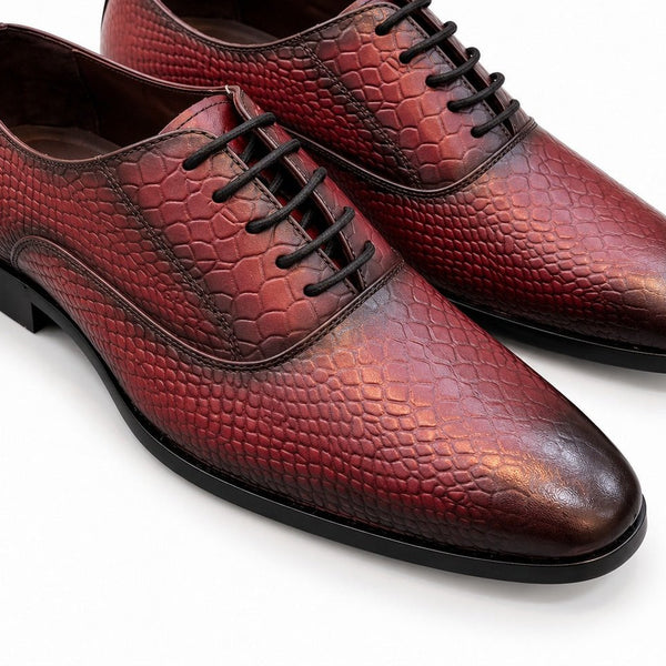 Taj Signature Croco Regent Derby