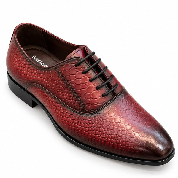 Taj Signature Croco Regent Derby