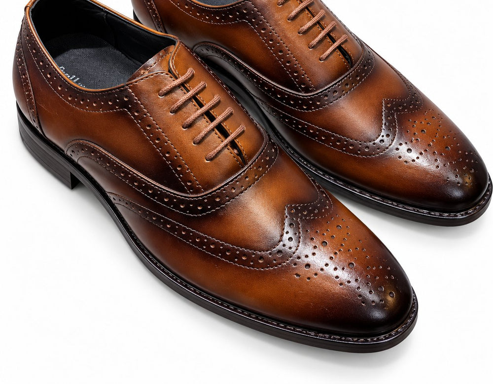 Taj Signature Heritage Brogue Leather Jacket